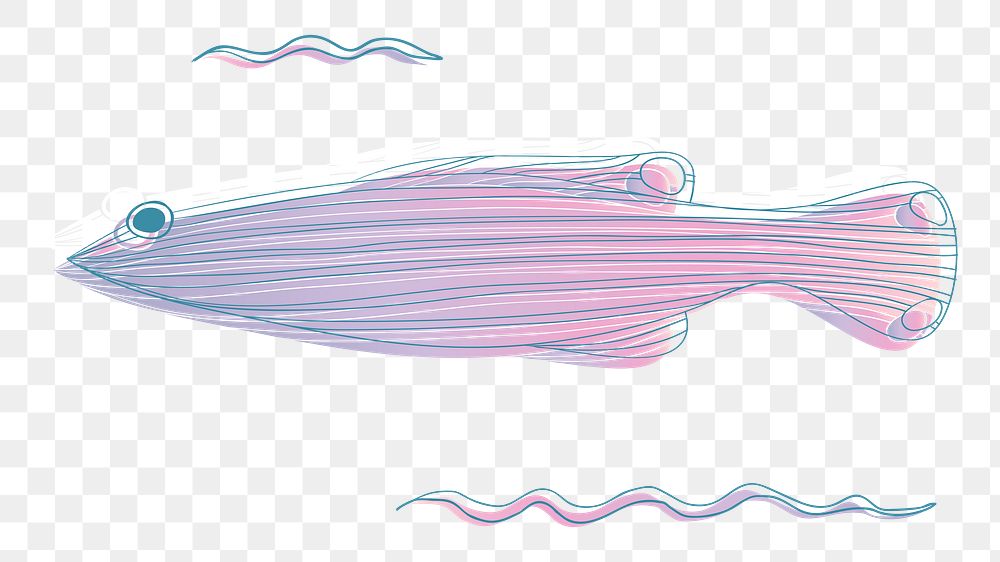 Pink fish png illustration, transparent background