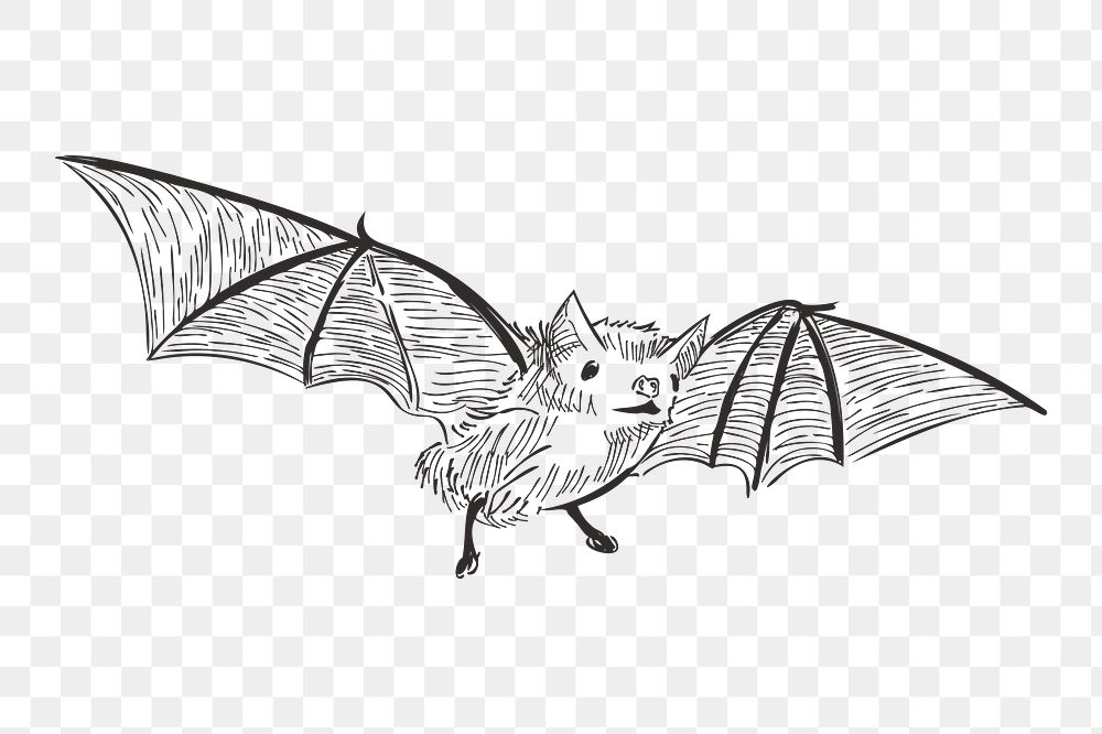 Png Halloween bat illustration element, transparent background