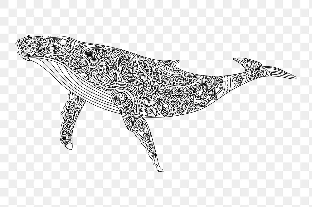 Png whale element, transparent background