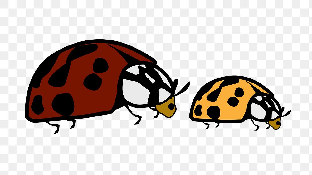 Two ladybugs png, transparent background