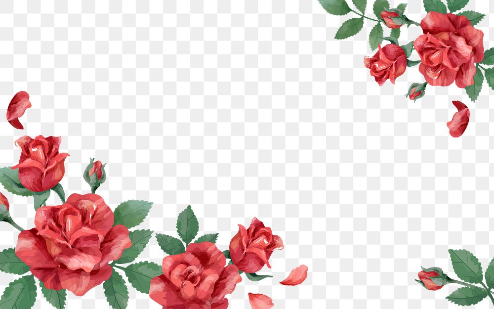Red rose png border, transparent background