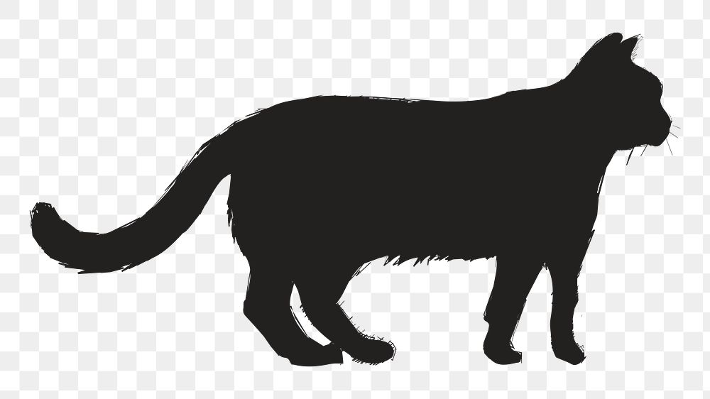 Png black cat silhouette, transparent background