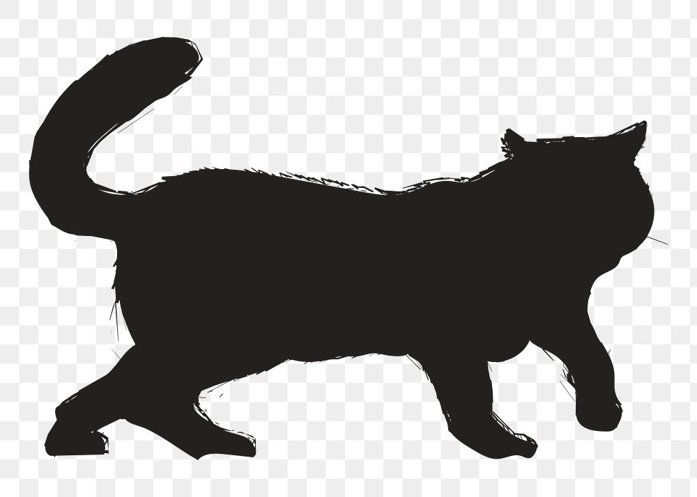 Png black cat silhouette, transparent background