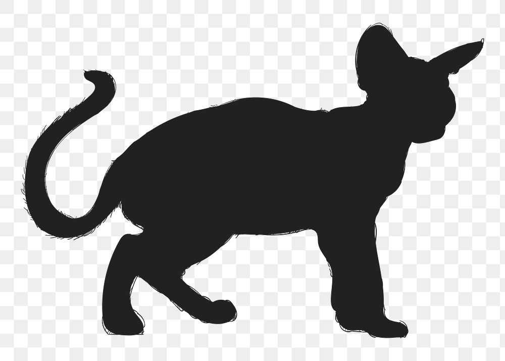 Png sphynx cat silhouette, transparent background