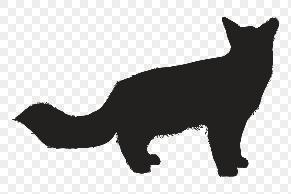Png cat silhouette, transparent background
