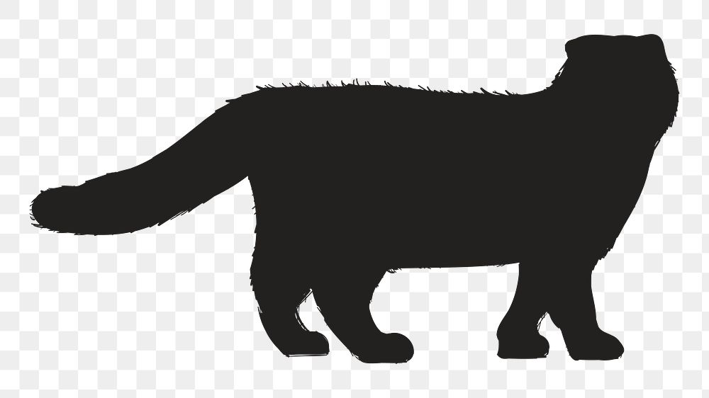 Png cat side view silhouette, transparent background