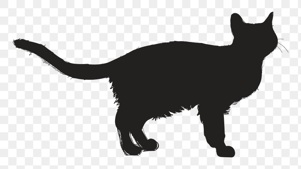 Png black cat silhouette, transparent background