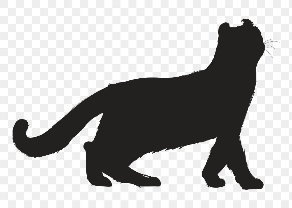 Png black cat silhouette, transparent background