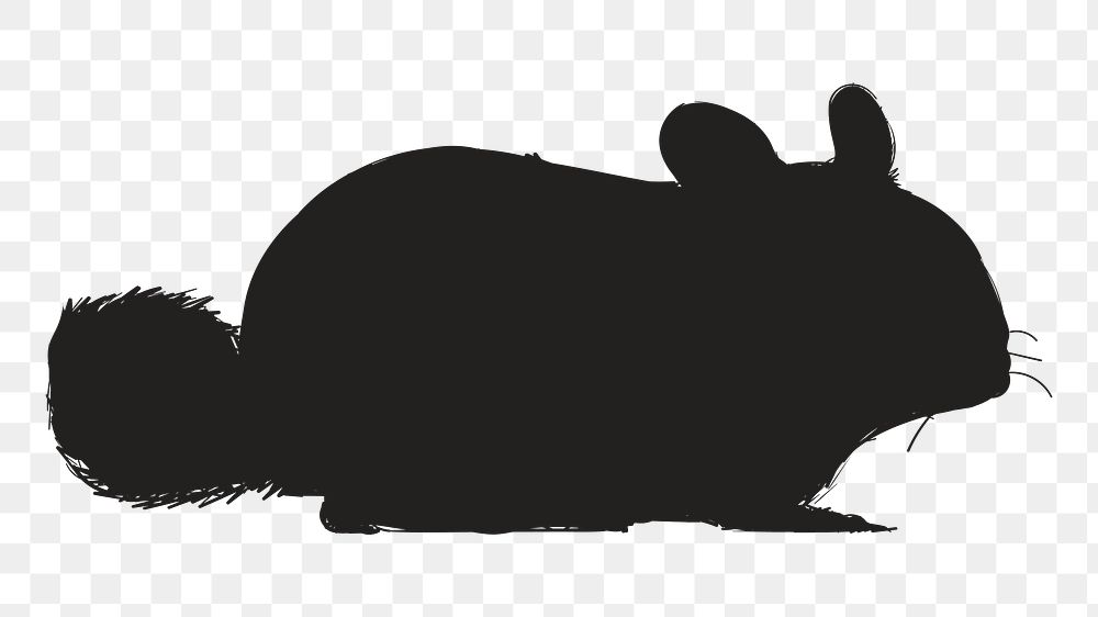 Png fluffy chinchilla silhouette, transparent background