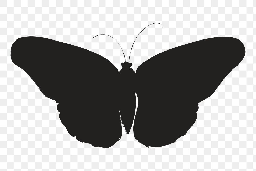 Png black butterfly silhouette, transparent background