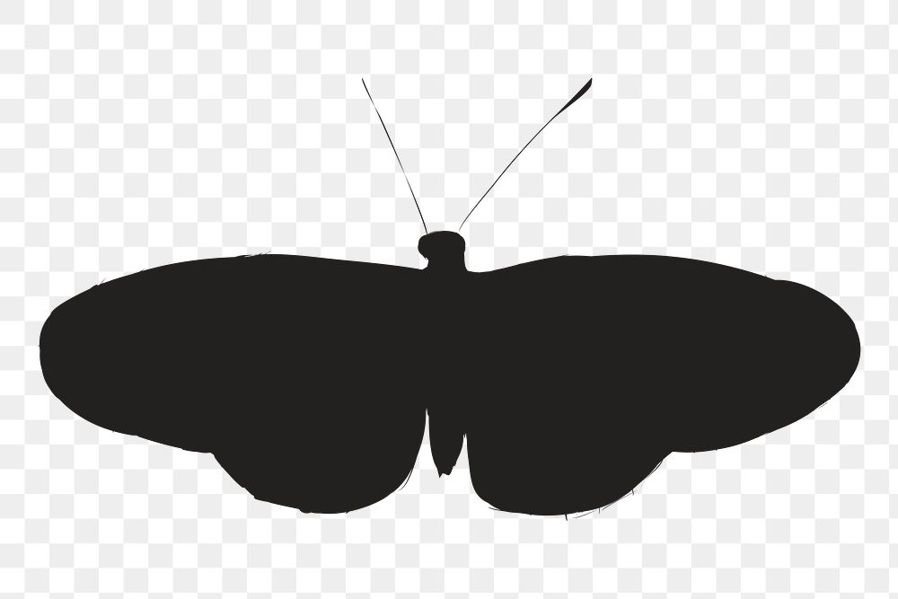 Png black butterfly silhouette, transparent background