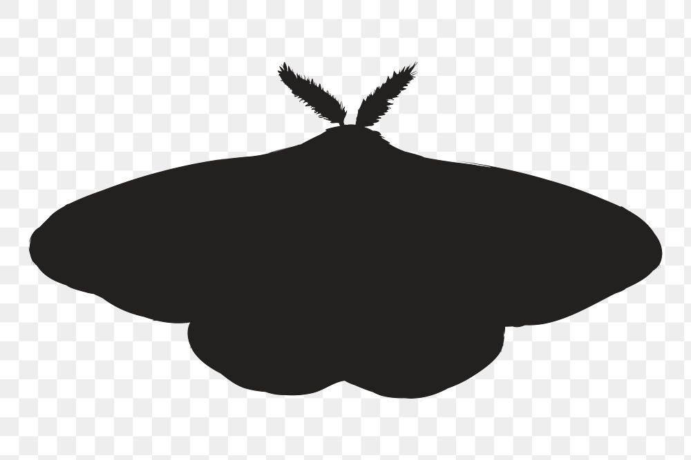 Png black butterfly silhouette, transparent background