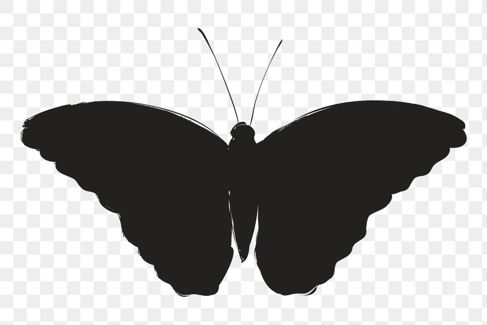 Png butterfly silhouette, transparent background