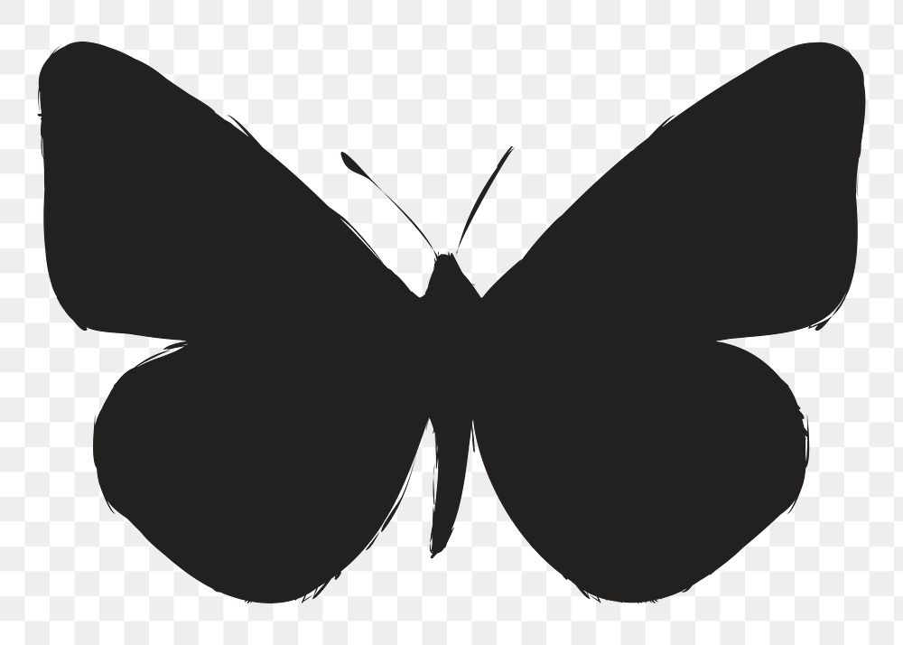 Png butterfly silhouette, transparent background