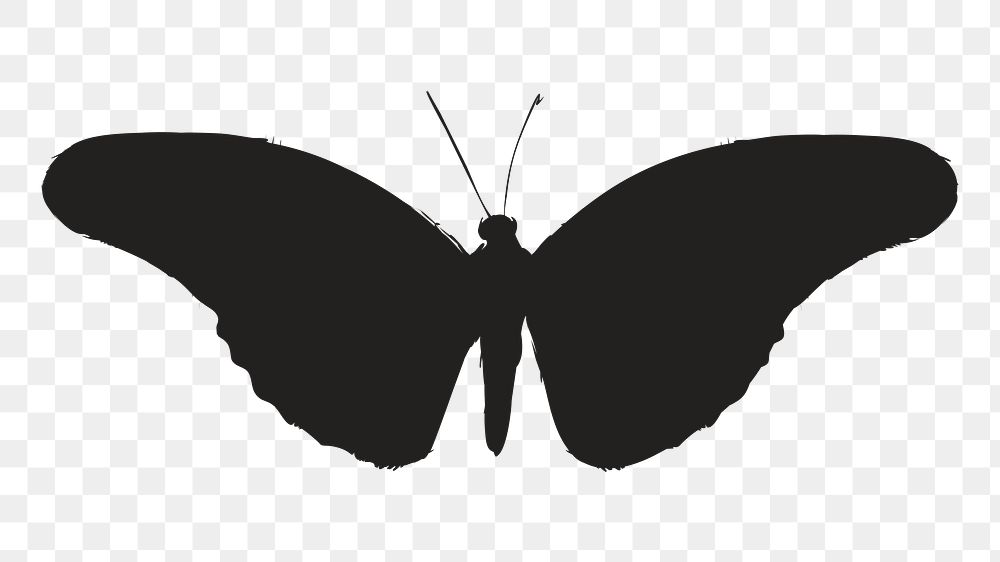 Png butterfly silhouette, transparent background