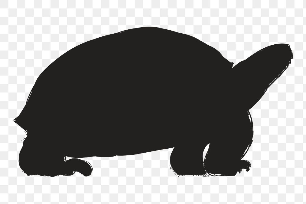 Png turtle silhouette, transparent background