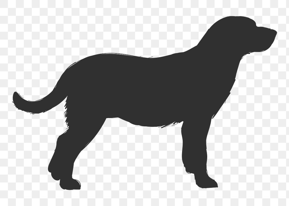 Png labrador dog silhouette, transparent background