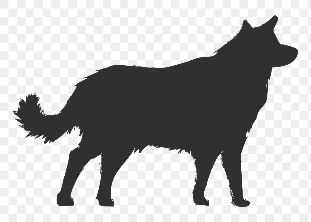 Png border collie dog silhouette, transparent background