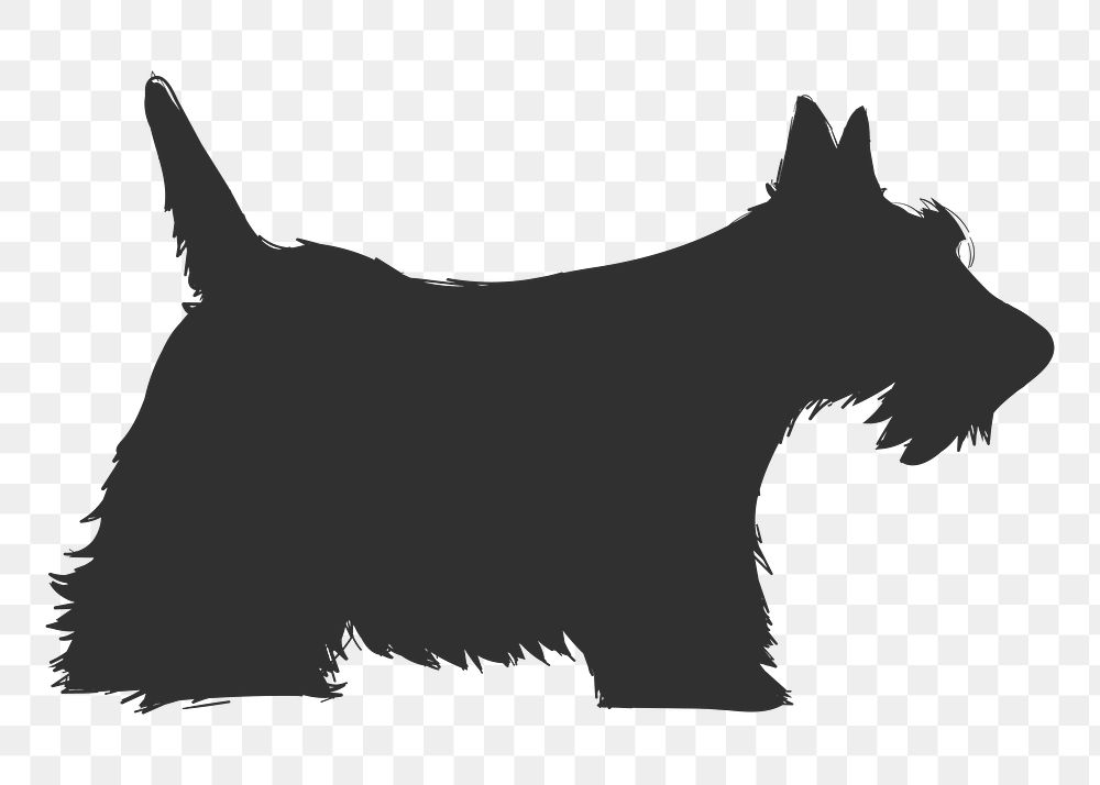 Png scottish terrier dog silhouette, transparent background