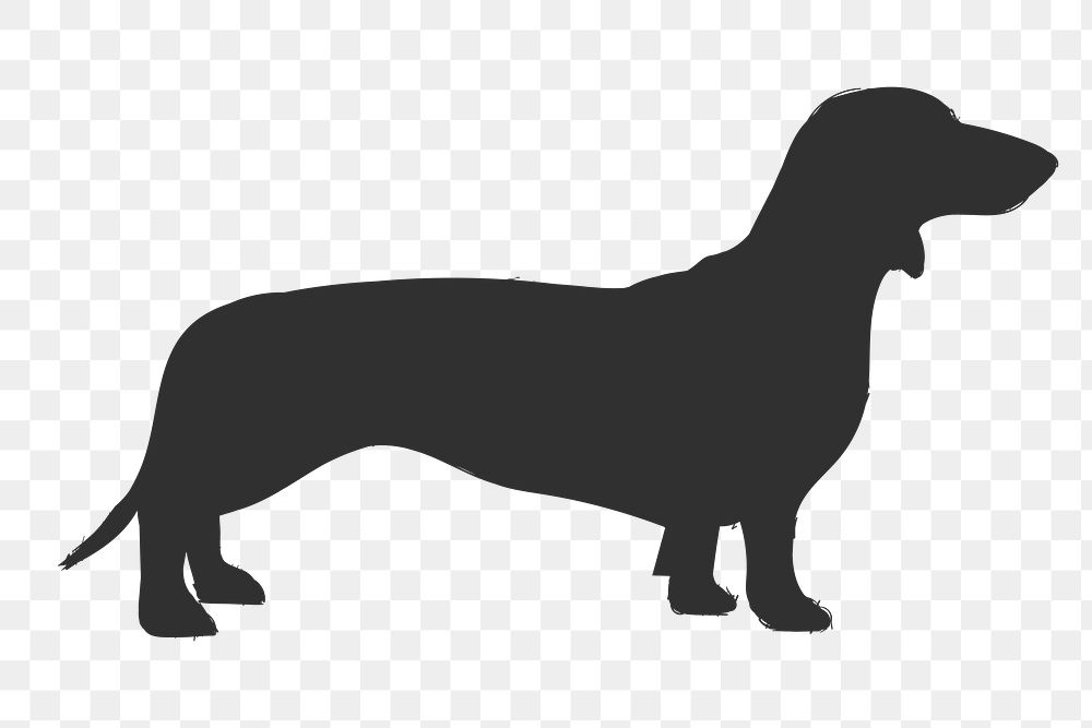 Png dachshund dog silhouette, transparent background