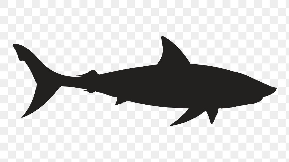 Png shark silhouette, transparent background