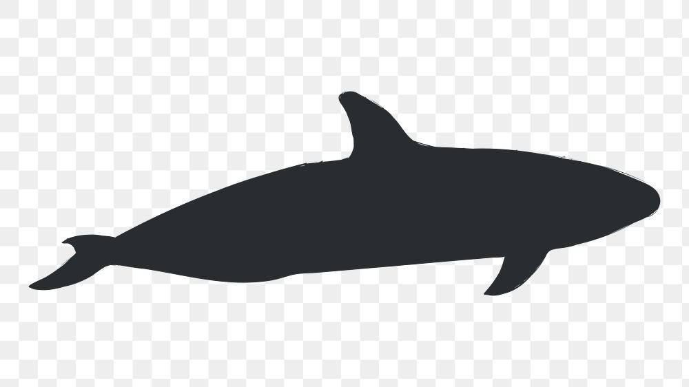 Png killer whale silhouette, transparent background