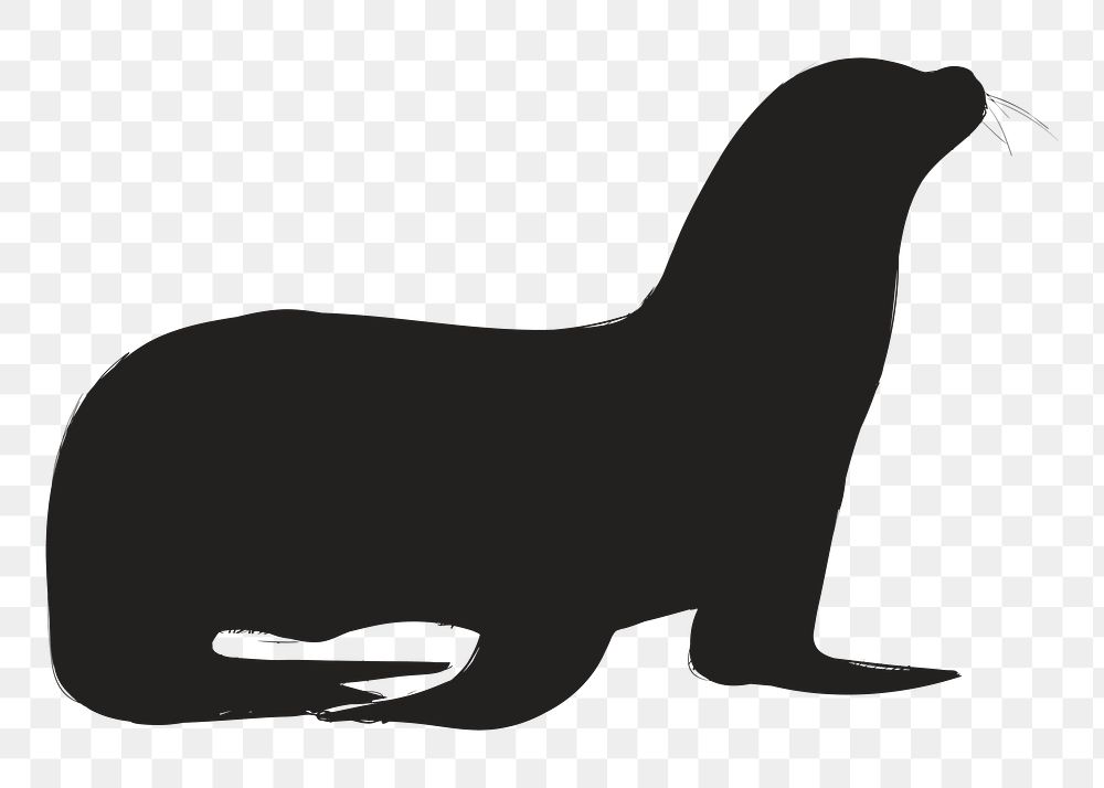 Png sea lion silhouette, transparent background