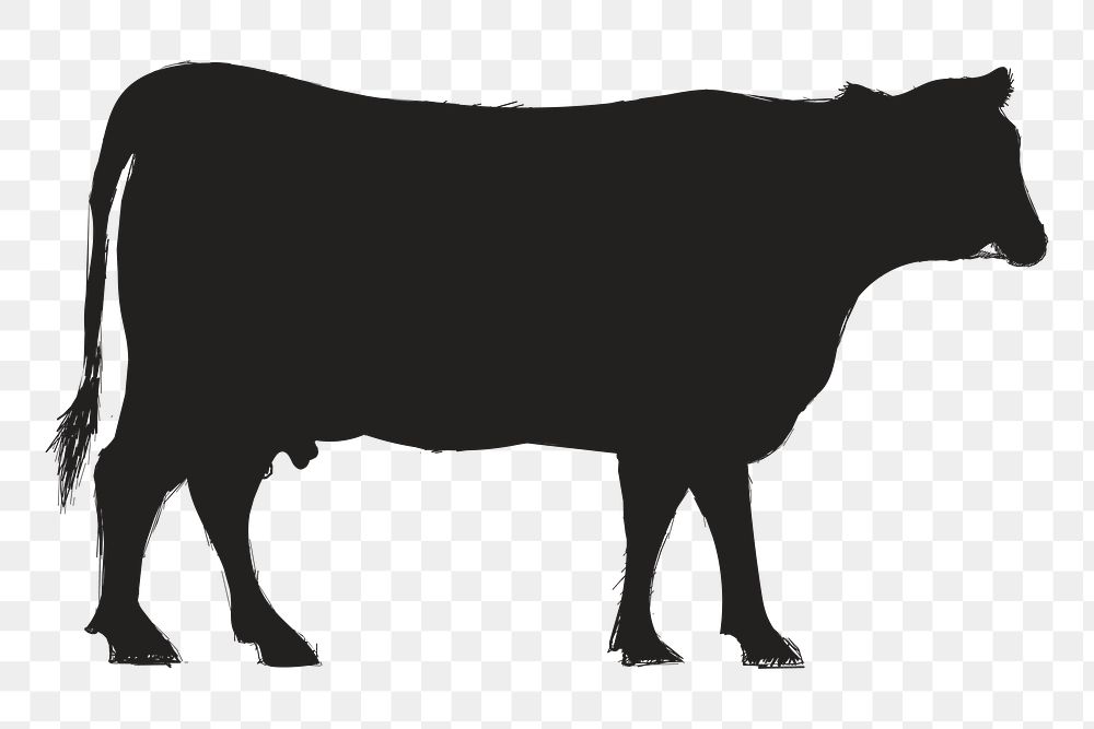 Png cow silhouette, transparent background