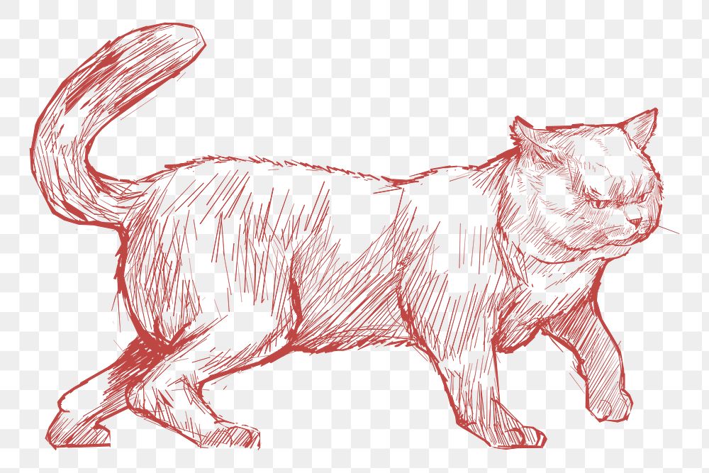  Png angry cat sketch illustration, transparent background