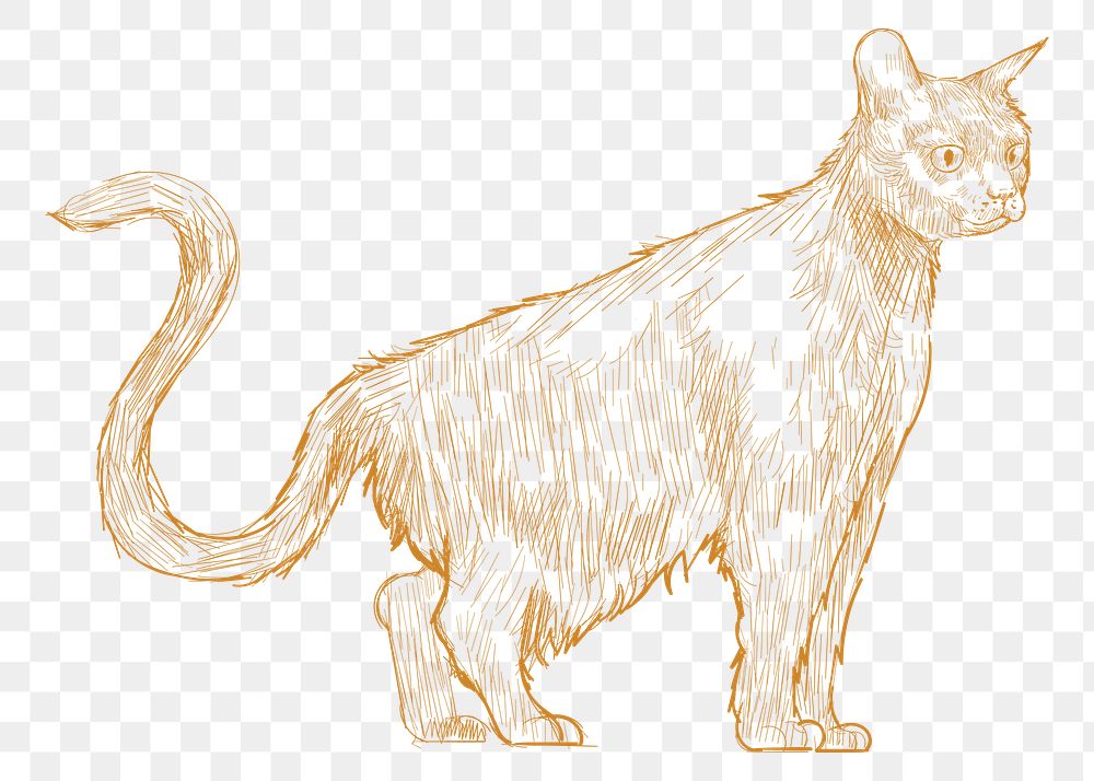  Png yellow cat sketch illustration, transparent background