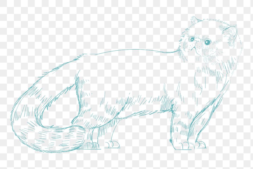  Png cute cat sketch illustration, transparent background