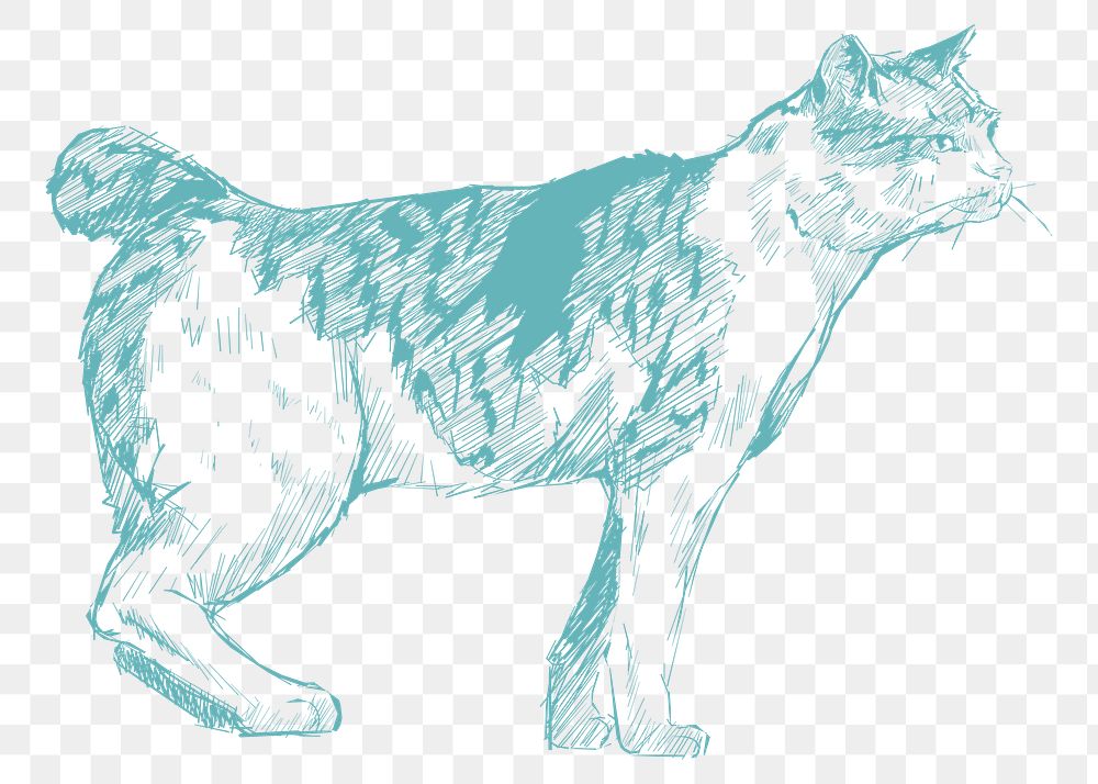  Png cute cat sketch illustration, transparent background