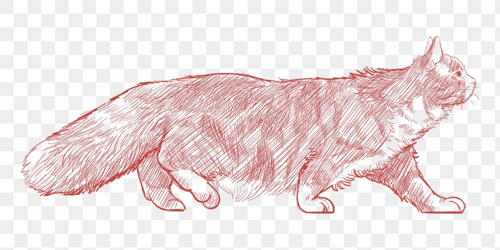  Png cute cat sketch illustration, transparent background