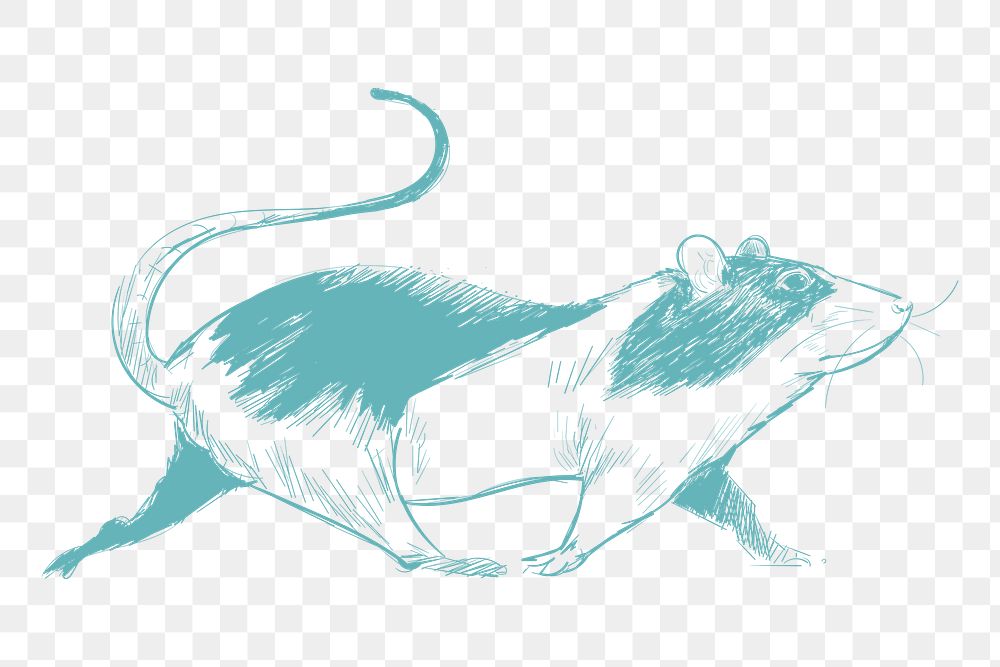  Png walking mouse sketch illustration, transparent background