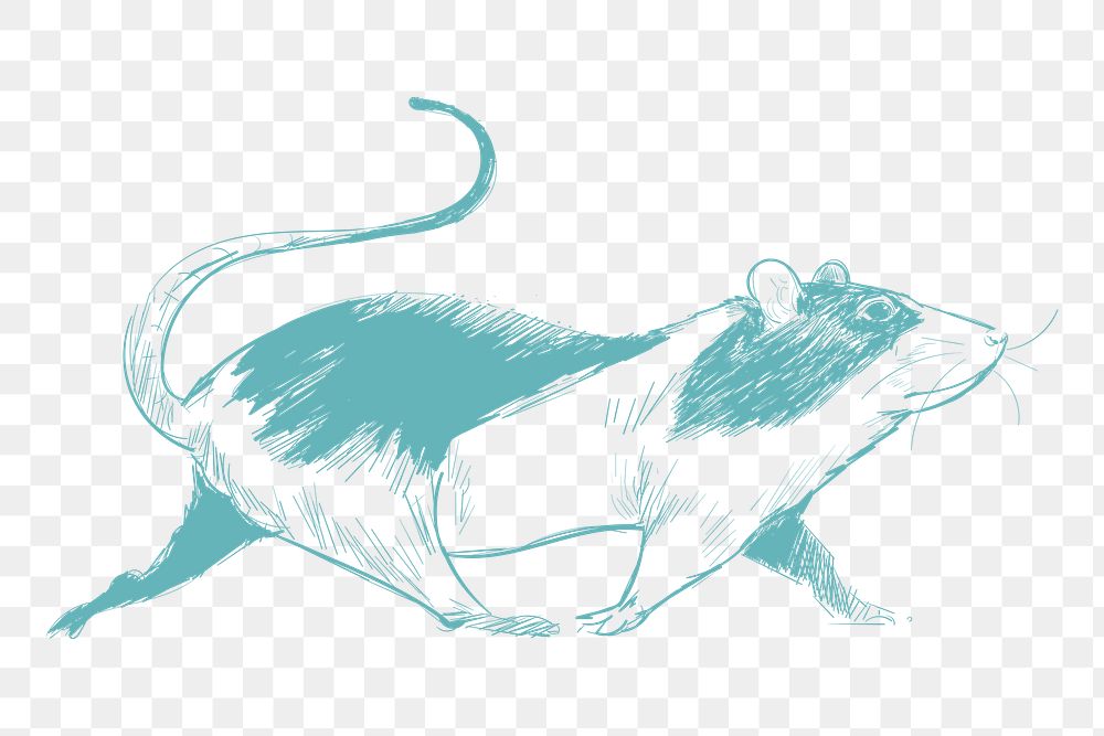 Png walking mouse sketch illustration, transparent background