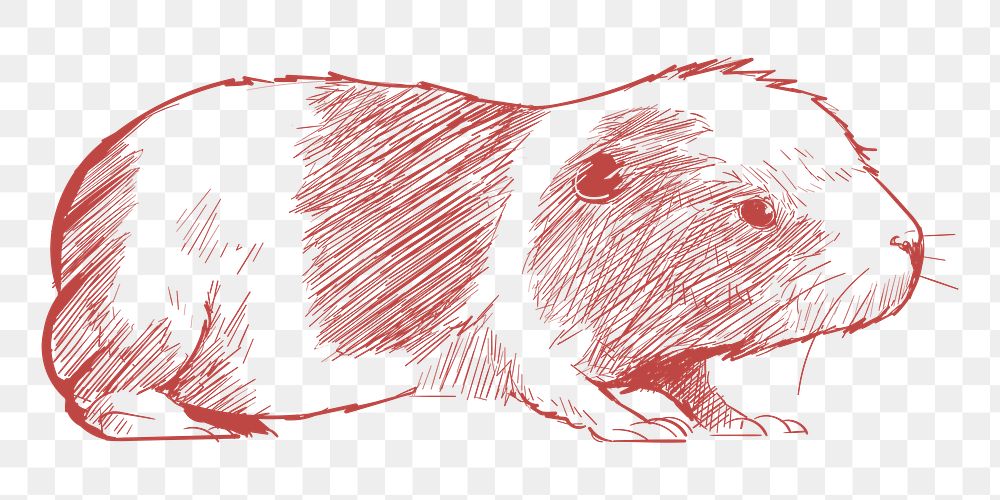  Png cute hamster sketch illustration, transparent background