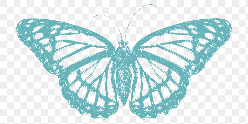  Png beautiful butterfly sketch illustration, transparent background