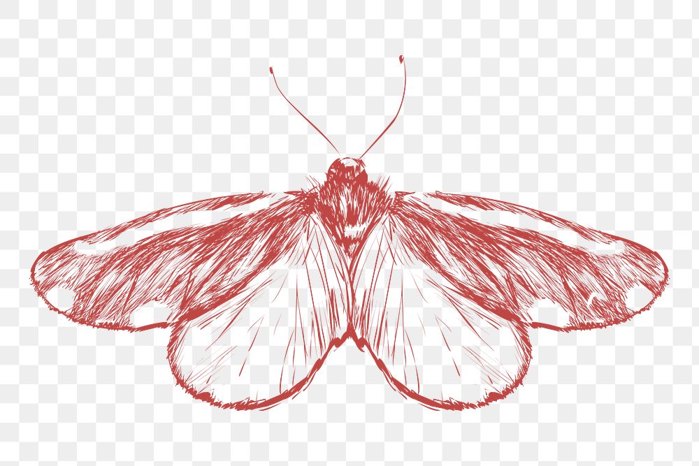  Png butterfly sketch illustration, transparent background