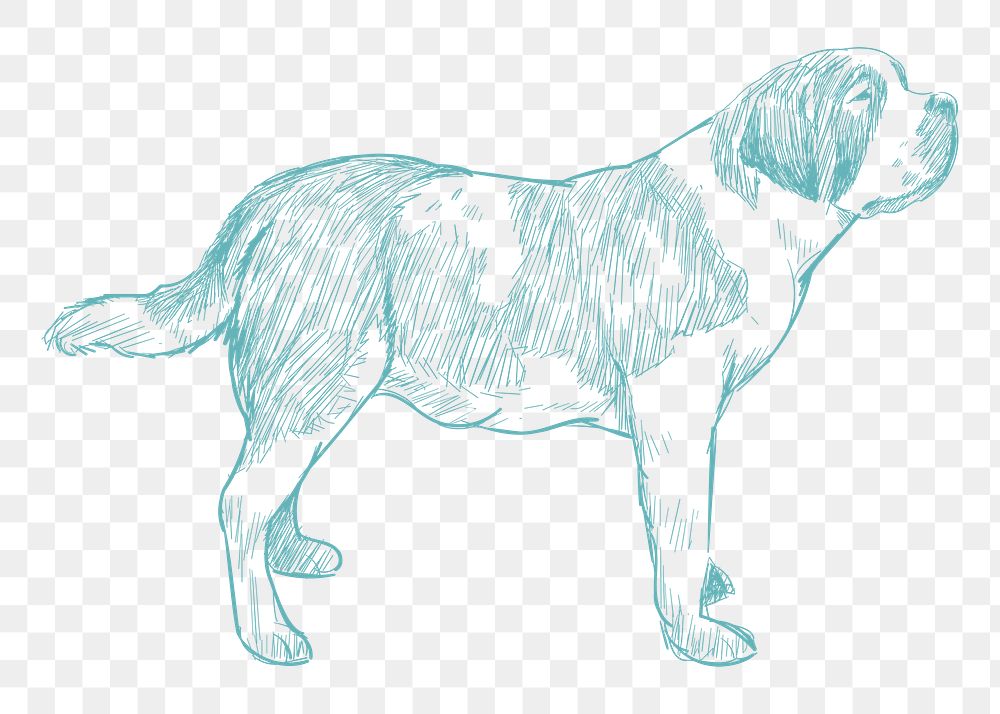  Png saint bernard dog sketch illustration, transparent background