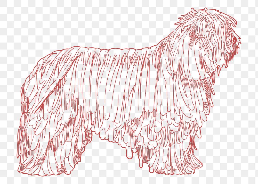  Png furry dog sketch illustration, transparent background