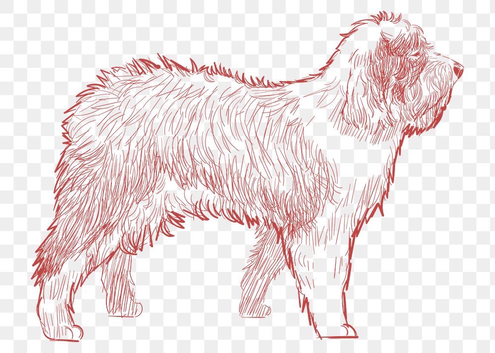  Png old english sheepdog sketch illustration, transparent background