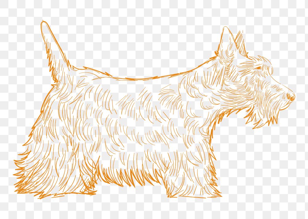 Png scottish terrier dog sketch illustration, transparent background