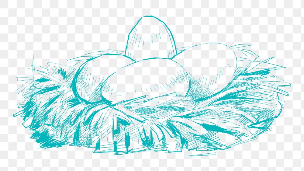 Png eggs in nest sketch illustration, transparent background