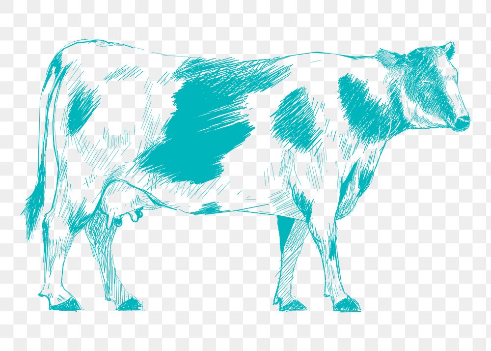 Png blue cow sketch illustration, transparent background