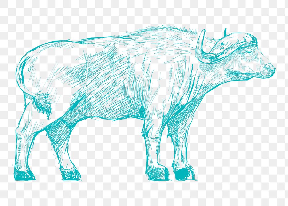 Png blue buffalo sketch illustration, transparent background
