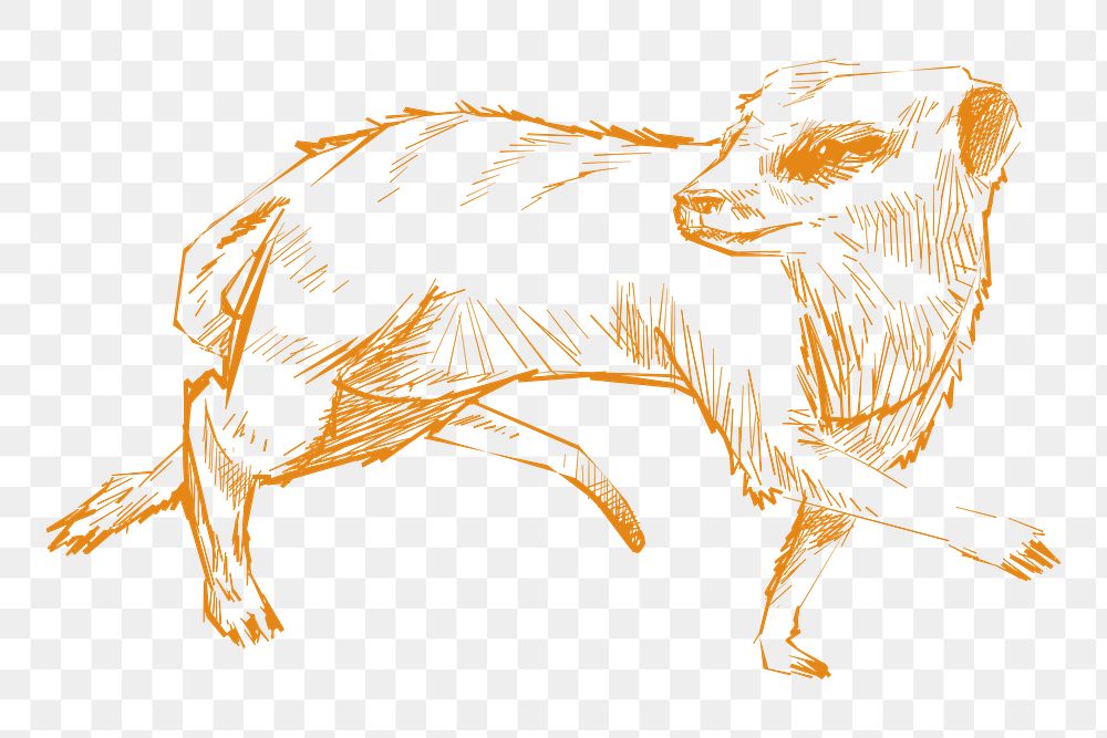 Png yellow meerkat sketch illustration, transparent background