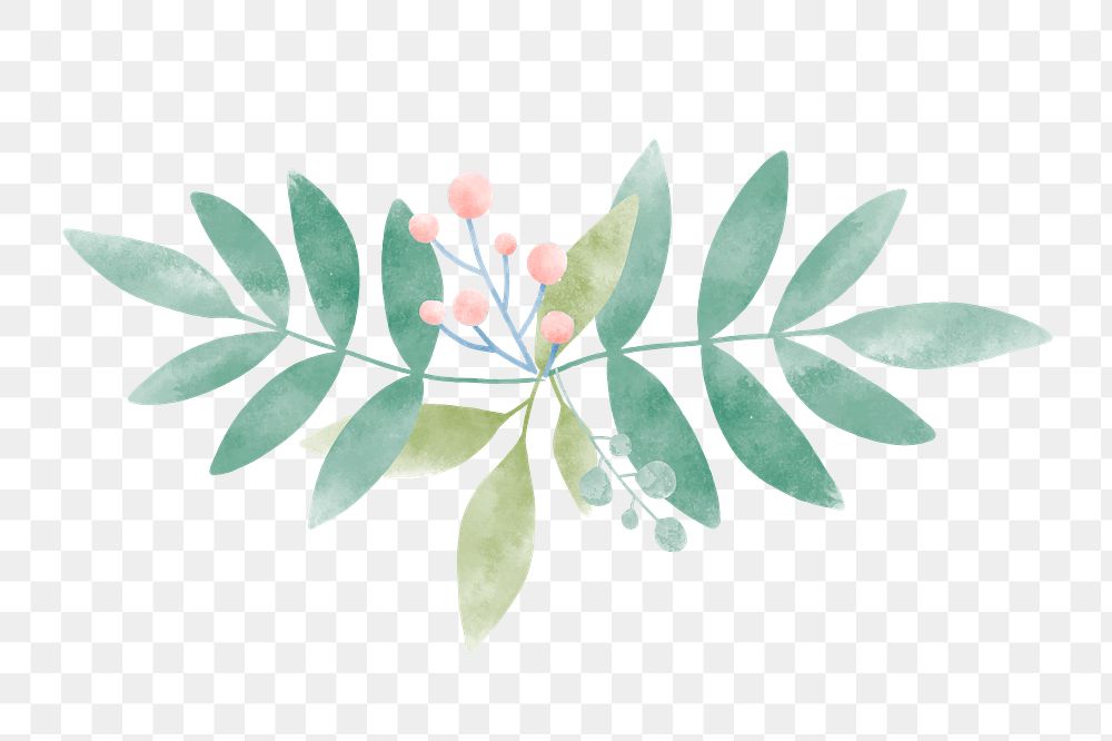 Watercolor leaf png element, transparent background