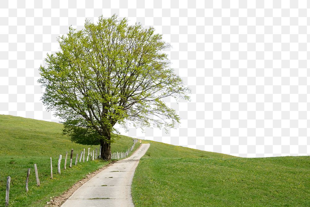 Countryside rural road png, transparent background