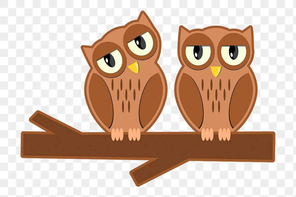 Owl  png clipart illustration, transparent background. Free public domain CC0 image.