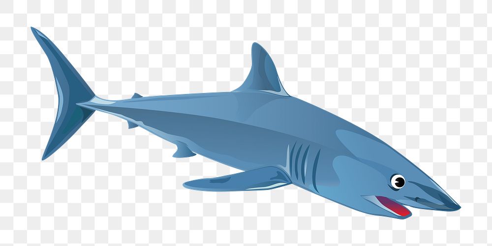 Shark png illustration, transparent background. Free public domain CC0 image.